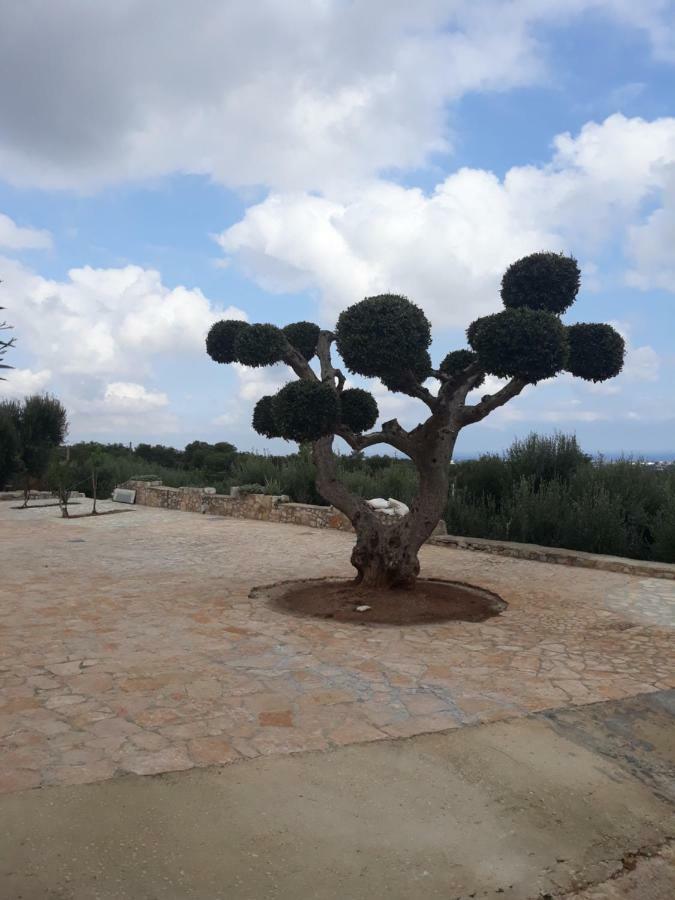 דירות פאסאנו Casa Campagna מראה חיצוני תמונה